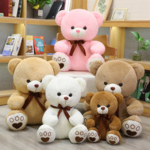 Teddy